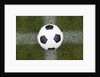 Soccer Ball by Anonymous