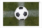 Soccer Ball by Anonymous