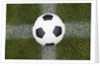 Soccer Ball by Anonymous