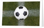 Soccer Ball by Anonymous