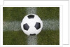 Soccer Ball by Anonymous
