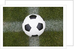 Soccer Ball by Anonymous
