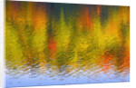 Fall Trees Reflected in Lake by Anonymous