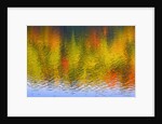 Fall Trees Reflected in Lake by Anonymous