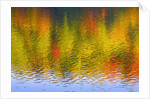 Fall Trees Reflected in Lake by Anonymous