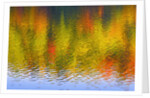Fall Trees Reflected in Lake by Anonymous