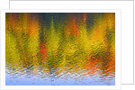 Fall Trees Reflected in Lake by Anonymous