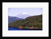 Shinto Shrine on Shore of Lake Ashi by Anonymous