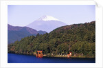 Shinto Shrine on Shore of Lake Ashi by Anonymous
