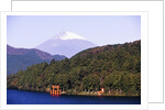 Shinto Shrine on Shore of Lake Ashi by Anonymous