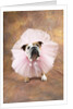 Bulldog Wearing Tutu by Corbis