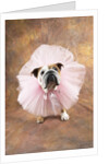 Bulldog Wearing Tutu by Corbis