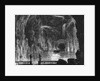 In The Wieliczka Salt Mines by Anonymous