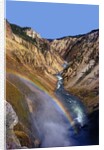 Rainbow over Lower Yellowstone Falls by Anonymous