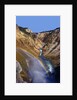 Rainbow over Lower Yellowstone Falls by Anonymous
