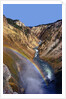 Rainbow over Lower Yellowstone Falls by Anonymous