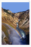 Rainbow over Lower Yellowstone Falls by Anonymous