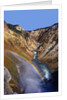 Rainbow over Lower Yellowstone Falls by Anonymous