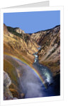 Rainbow over Lower Yellowstone Falls by Anonymous