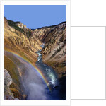 Rainbow over Lower Yellowstone Falls by Anonymous