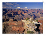 South Rim of Grand Canyon by Anonymous