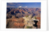 South Rim of Grand Canyon by Anonymous