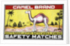 Camel Brand Indian Matchbox Label by Anonymous
