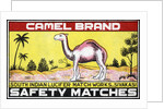 Camel Brand Indian Matchbox Label by Anonymous
