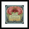 Majola Perfume Label by Anonymous