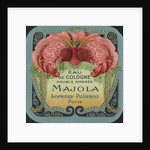 Majola Perfume Label by Anonymous