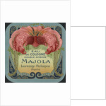 Majola Perfume Label by Anonymous
