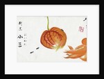 Japanese Advertisement with Chinese Lantern Plant by Anonymous