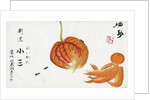 Japanese Advertisement with Chinese Lantern Plant by Anonymous