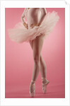 Ballerina by Anonymous