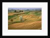 Agricultural Fields on Farm by Anonymous
