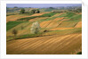 Agricultural Fields on Farm by Anonymous