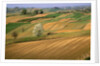 Agricultural Fields on Farm by Anonymous