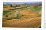 Agricultural Fields on Farm by Anonymous