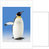King Penguin by Anonymous