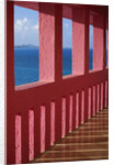 Bright Pink Railing and Ocean View by Anonymous