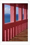 Bright Pink Railing and Ocean View by Anonymous