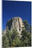 Devil's Tower by Anonymous