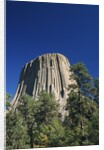 Devil's Tower by Anonymous