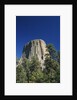 Devil's Tower by Anonymous