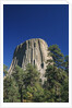 Devil's Tower by Anonymous