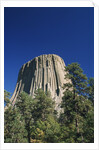 Devil's Tower by Anonymous