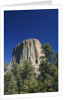 Devil's Tower by Anonymous
