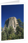 Devil's Tower by Anonymous