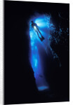 Scuba Diver in Reef Crevice by Anonymous