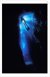 Scuba Diver in Reef Crevice by Anonymous
